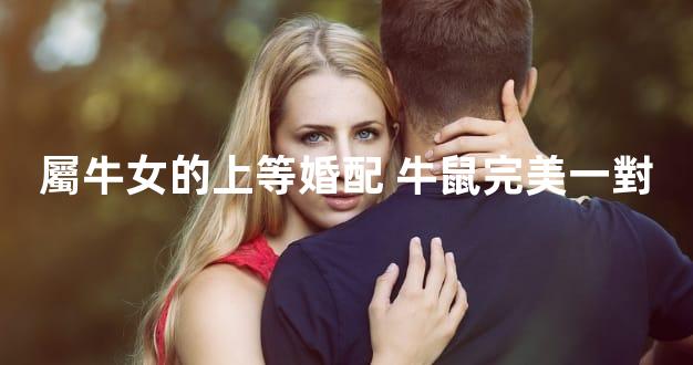屬牛女的上等婚配 牛鼠完美一對